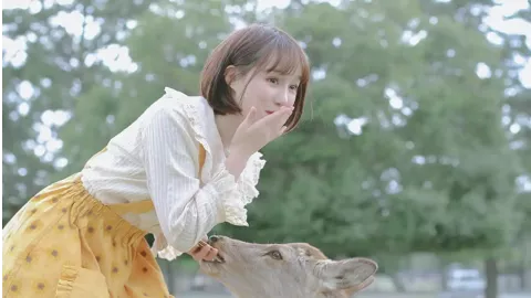 德甲最快下课纪录