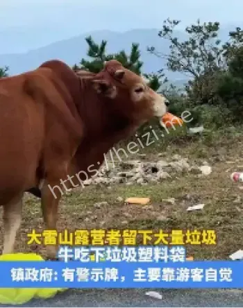 大雷山露营垃圾污染